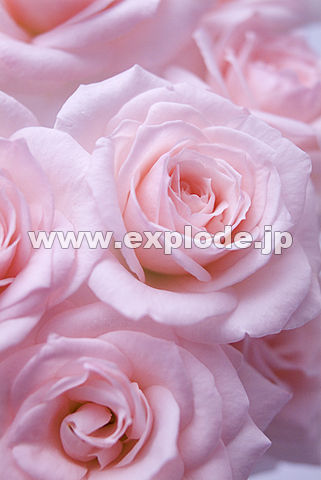 051�F�o��