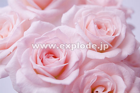 052�F�o��