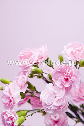 063�F�X�v���[�J�[�l�[�V����