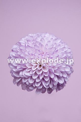 096�F�L�N