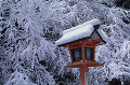 073：鞍馬寺