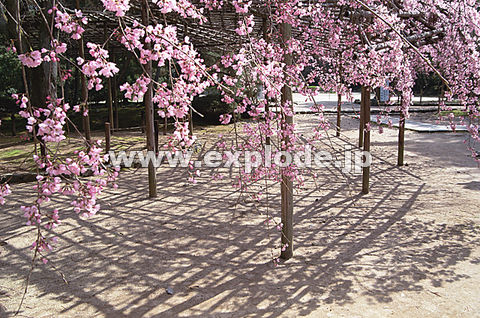 067�F��펛