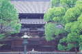 031：東寺