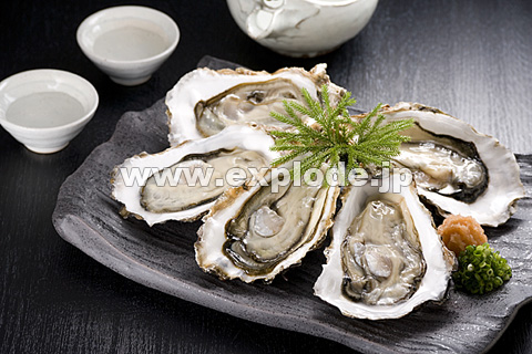 048�F���y