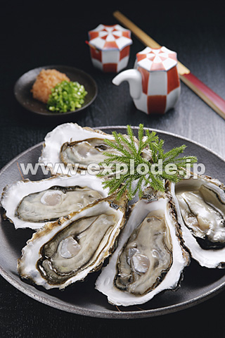 051�F���y