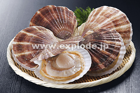 061�F�z�^�e�L