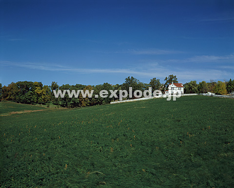 010�F�A�����J�@�A�C�I���B�@������