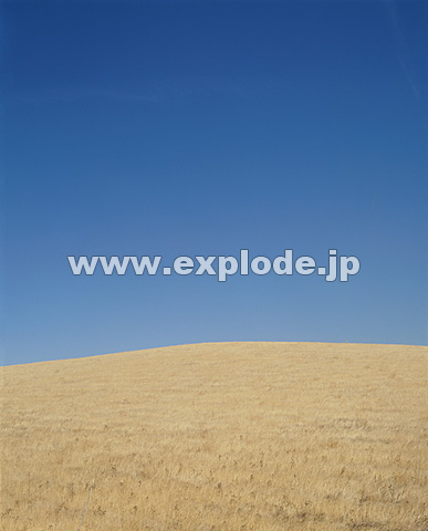 076�F�A�����J�@�J���t�H���j�A�B�@���[�g580�����̋u