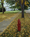 021：アメリカ　ミネソタ州　消火栓