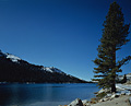 068：アメリカ　カリフォルニア州　ヨセミテ国立公園　テナヤレイク