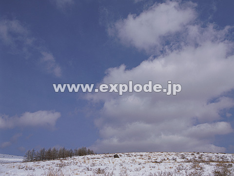 010�F���쌧�@������