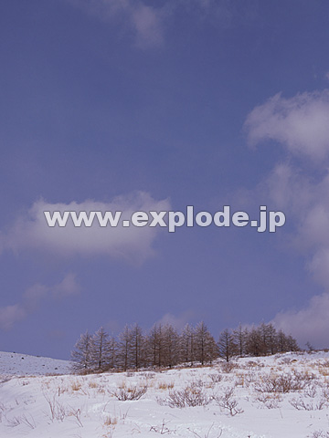 014�F���쌧�@������