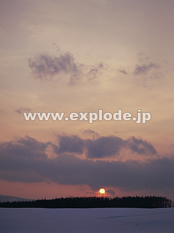 021�F�k�C���@���l