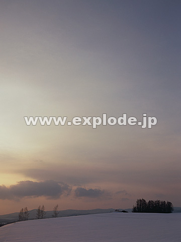 029�F�k�C���@���l