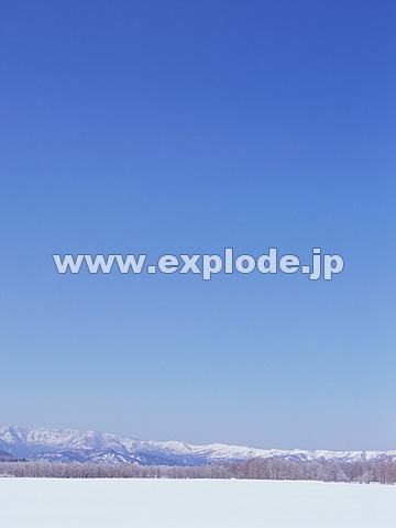 039�F�k�C���@��q��