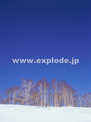 040�F�k�C���@��q��