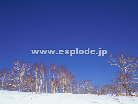 041�F�k�C���@��q��
