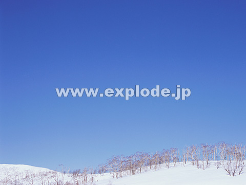 042�F�k�C���@��q��