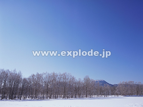 043�F�k�C���@��q��