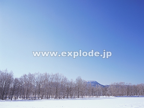 044�F�k�C���@��q��