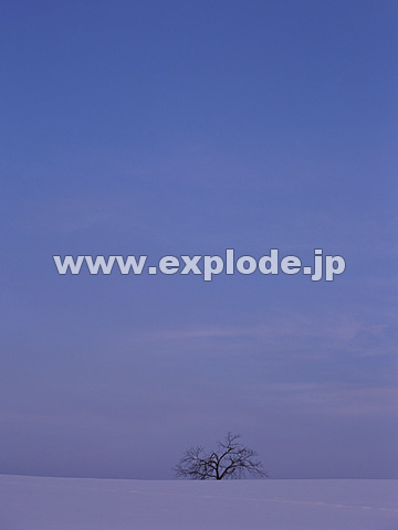 047�F�k�C���@���l
