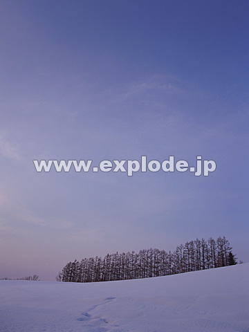 048�F�k�C���@���l