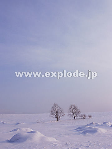 049�F�k�C���@���l