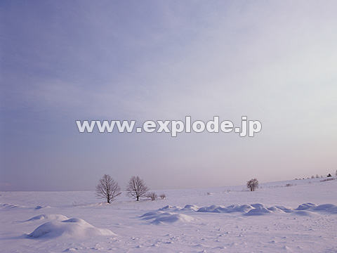 050�F�k�C���@���l