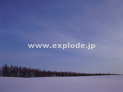 053�F�k�C���@���l