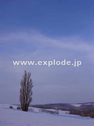 055�F�k�C���@���l