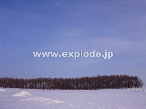 056�F�k�C���@���l