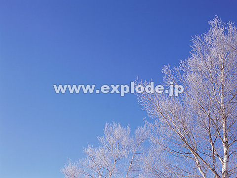 066�F�k�C���@��q���@���X