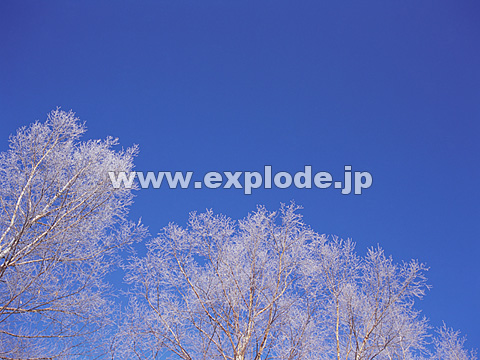 067�F�k�C���@��q���@���X