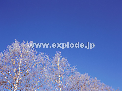 068�F�k�C���@��q���@���X