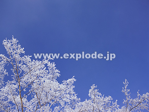 069�F�k�C���@��q���@���X