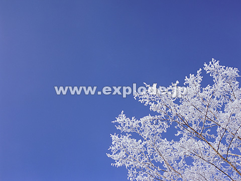 070�F�k�C���@��q���@���X