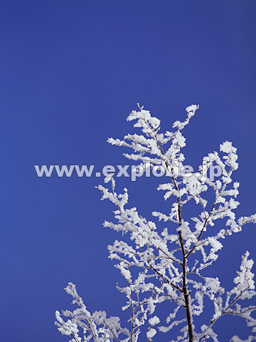 071�F�k�C���@��q���@���X