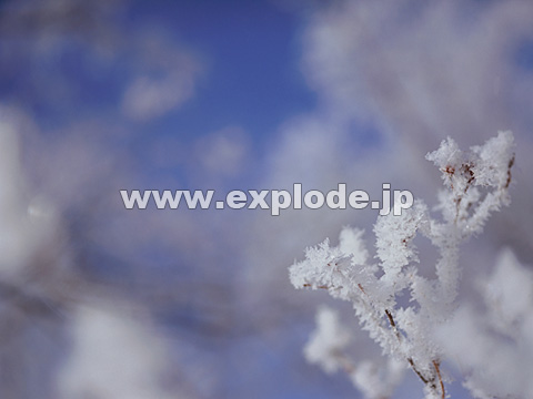 072�F�k�C���@��q���@���X