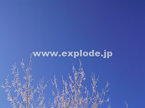 076�F�k�C���@��q���@���X