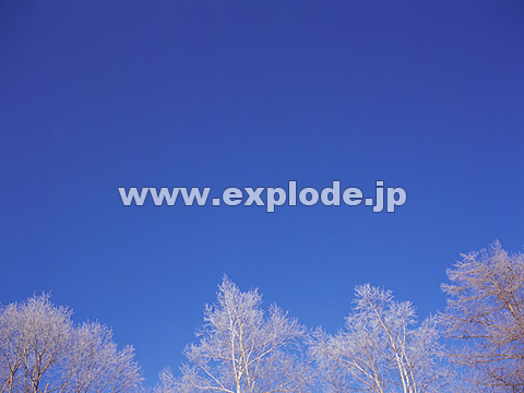 078�F�k�C���@��q���@���X