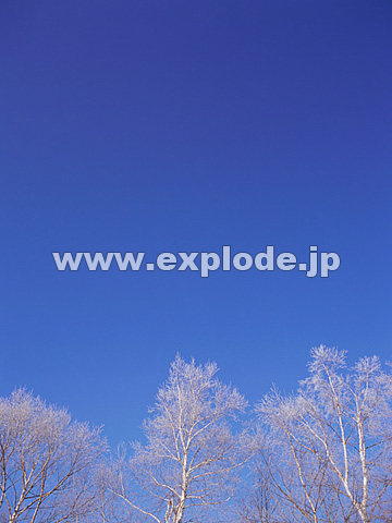 079�F�k�C���@��q���@���X
