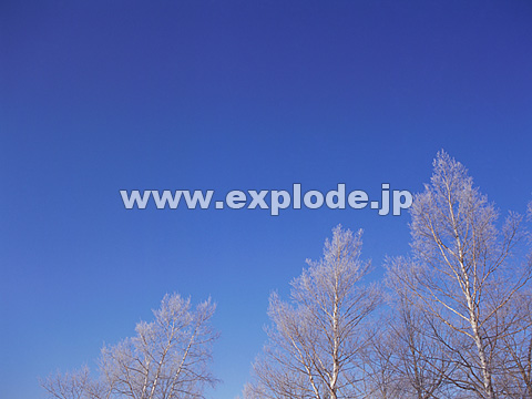 080�F�k�C���@��q���@���X