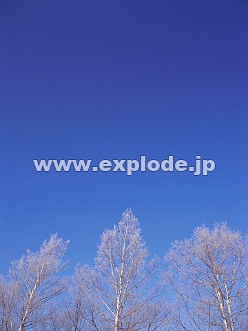 081�F�k�C���@��q���@���X