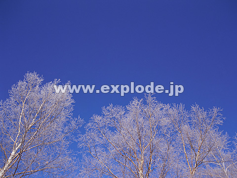 082�F�k�C���@��q���@���X