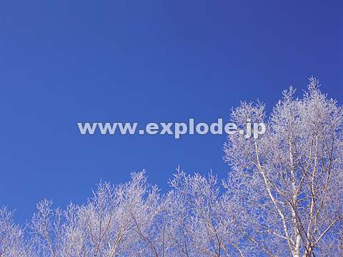 083�F�k�C���@��q���@���X