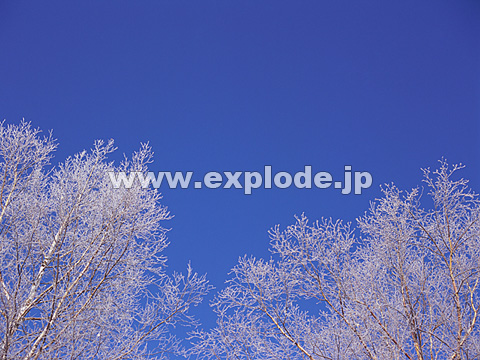 084�F�k�C���@��q���@���X