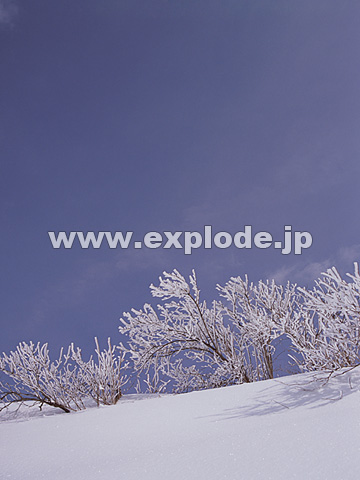 087�F���쌧�@������@���X