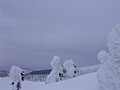 004：山形県　蔵王　樹氷