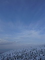 016：山形県　蔵王　樹氷