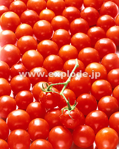 010�F�~�j�g�}�g